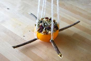 Amber Dusick bird feeder