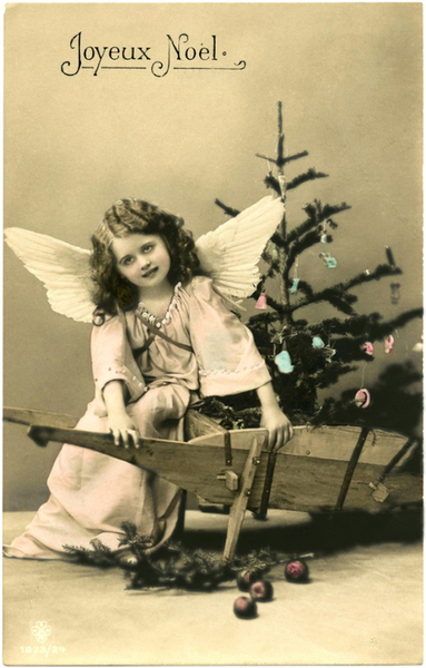 Angel-Girl-Photo-Image-GraphicsFairy-654x1024 (447x700, 295Kb)