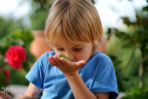 365 дней вместе с детьми: [b]Растирать листья мяты между пальцами[/b]    И не только мяты. Удивительно пахла полынь, пижма, чабрец. Въедался в кожу