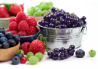 Bucket Of Berries