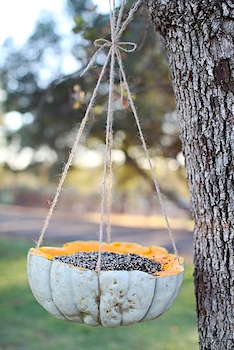 Dreamy Whites pumpkin bird feeder